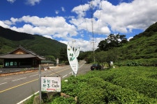 정금마을 관광 정보와 주변 관광 명소 및 근처 맛집 여행 정보