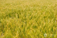 우정장어 - 주변 여행 및 근처 관광 명소 - 국내 여행 정보와 관광 명소 정보