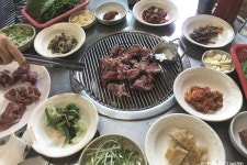 다가포가든 음식점 정보와 주변 관광 명소 및 근처 맛집 여행 정보