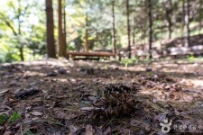 군위 장곡자연휴양림 관광 정보와 주변 관광 명소 및 근처 맛집 여행 정보