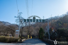 Cheongpyeong Recreational Forest (청평자연휴양림) - Sightseeing - Korea travel and tourism information