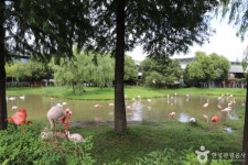 순천만국가정원 관광 정보와 주변 관광 명소 및 근처 맛집 여행 정보
