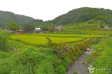 고천마을 관광 정보와 주변 관광 명소 및 근처 맛집 여행 정보