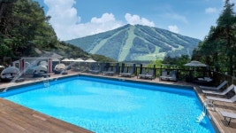 숲속의연인별 숙박 정보와 주변 관광 명소 및 근처 맛집 여행 정보