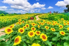악양생태공원 - 주변 여행 및 근처 관광 명소 - 국내 여행 정보와 관광 명소 정보