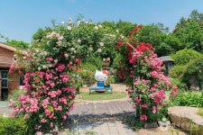 풀향기 허브나라&토이박물관 - 주변 여행 및 근처 관광 명소 - 국내 여행 정보와 관광 명소 정보