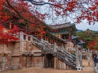 토함산 - 주변 여행 및 근처 관광 명소 - 국내 여행 정보와 관광 명소 정보