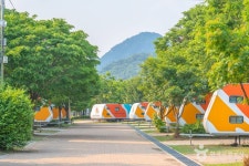 자라섬 관광 정보와 주변 관광 명소 및 근처 맛집 여행 정보