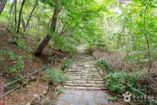 용현자연휴양림야영장 - 주변 여행 및 근처 관광 명소 - 국내 여행 정보와 관광 명소 정보