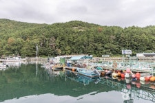 초록빛바다펜션 - 주변 여행 및 근처 관광 명소 - 국내 여행 정보와 관광 명소 정보