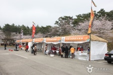 영암왕인문화축제 2017 - 뽐뿌:축제정보 영암왕인문화축제 2017