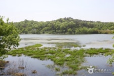 薯童公園（서동공원） - 観光 - 韓国旅行・観光情報