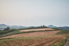 홍성 하누리마을 관광 정보와 주변 관광 명소 및 근처 맛집 여행 정보
