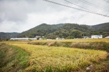 태학산 자연휴양림, 태학산 치유의 숲 - 여행정보 |