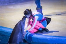 Pacific Land (퍼시픽랜드) - Sightseeing - Korea travel and tourism information