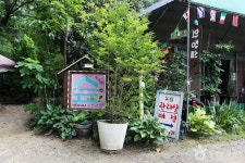 늘푸른숲 레저스포츠 정보와 주변 관광 명소 및 근처 맛집 여행 정보