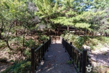 군위 장곡자연휴양림 관광 정보와 주변 관광 명소 및 근처 맛집 여행 정보