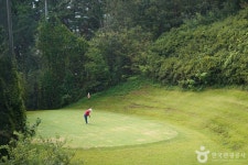 신동파인힐스 레저스포츠 정보와 주변 관광 명소 및 근처 맛집 여행 정보