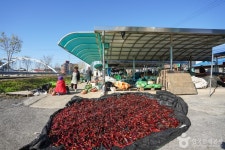 진주 문산장 (4, 9일) 쇼핑 정보와 주변 관광 명소 및 근처 맛집 여행 정보