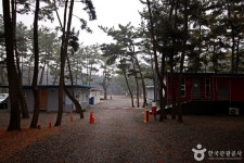 몽산포힐링캠핑장 레저스포츠 정보와 주변 관광 명소 및 근처 맛집 여행 정보