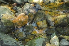 연곡계곡 관광 정보와 주변 관광 명소 및 근처 맛집 여행 정보