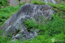 전북제사1970 - 주변 여행 및 근처 관광 명소 - 국내 여행 정보와 관광 명소 정보