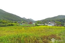 고천마을 관광 정보와 주변 관광 명소 및 근처 맛집 여행 정보
