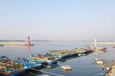 마량포구 관광 정보와 주변 관광 명소 및 근처 맛집 여행 정보