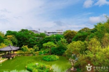 [DMZ 평화의 길] 임진각-도라산 코스 레저스포츠 정보와 주변 관광 명소 및 근처 맛집 여행 정보