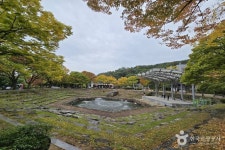 [대구올레 팔공산 7코스] 폭포골 가는 길 레저스포츠 정보와 주변 관광 명소 및 근처 맛집 여행 정보