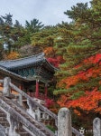 경주 불국사 [유네스코 세계유산] 관광 정보와 주변 관광 명소 및 근처 맛집 여행 정보