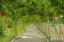 하남체육공원 관광 정보와 주변 관광 명소 및 근처 맛집 여행 정보