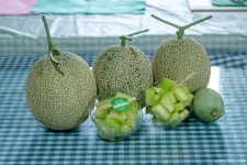 가야금신조기념관 - 주변 여행 및 근처 관광 명소 - 국내 여행 정보와 관광 명소 정보