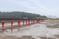 증도(신안) 관광 정보와 주변 관광 명소 및 근처 맛집 여행 정보