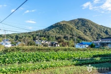 은골구기자마을 관광 정보와 주변 관광 명소 및 근처 맛집 여행 정보
