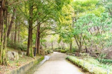아산 영인산자연휴양림 관광 정보와 주변 관광 명소 및 근처 맛집 여행 정보
