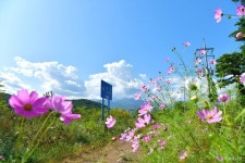 호텔 마레몬스 - 주변 여행 및 근처 관광 명소 - 국내 여행 정보와 관광 명소 정보
