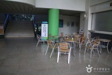 인천광역시 여성문화회관 문화 정보와 주변 관광 명소 및 근처 맛집 여행 정보