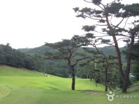 원투쓰리 골프클럽 레저스포츠 정보와 주변 관광 명소 및 근처 맛집 여행 정보