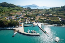 숲나들e - 여행정보 |