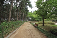 국립 희리산해송자연휴양림 - 주변 여행 및 근처 관광 명소 - 국내 여행 정보와 관광 명소 정보