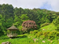 원당계곡 - 주변 여행 및 근처 관광 명소 - 국내 여행 정보와 관광 명소 정보