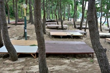 읍리지석묘와 하마비 - 주변 여행 및 근처 관광 명소 - 국내 여행 정보와 관광 명소 정보