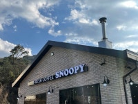 스누피 애견카페 음식점 정보와 주변 관광 명소 및 근처 맛집 여행 정보