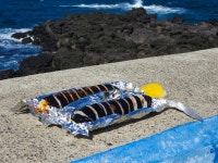오는정김밥 음식점 정보와 주변 관광 명소 및 근처 맛집 여행 정보