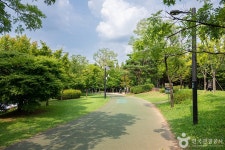 지도공원 관광 정보와 주변 관광 명소 및 근처 맛집 여행 정보