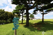 해뜰목장 관광 정보와 주변 관광 명소 및 근처 맛집 여행 정보