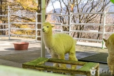 평창문화관광 > 관광명소 > 평창관광지 평창문화관광  &gt; 관광명소 &gt; 평창관광지