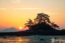 소등섬 관광 정보와 주변 관광 명소 및 근처 맛집 여행 정보