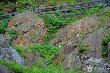 오산리 구상화강편마암 관광 정보와 주변 관광 명소 및 근처 맛집 여행 정보
